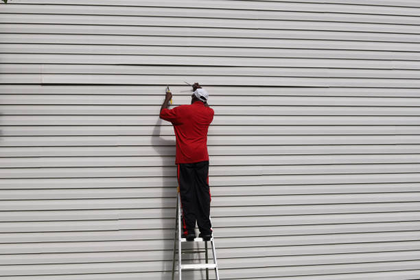 Best Storm Damage Siding Repair  in Mapleton, ND